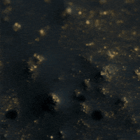 alyssajwallace  GIF