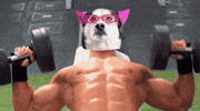 Lets Go Dog GIF by SWAGGY WOLFDOG