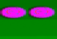 Vhs Color GIF by jorgemariozuleta
