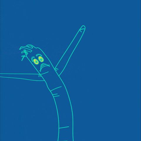 jembarquepas dance tube man skydancer air dancer GIF