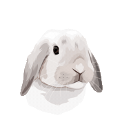 Hopstuff Sticker by Pickle's Pawtraits