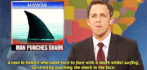 seth meyers snl GIF by Saturday Night Live