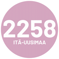 Siruhopealinna Sticker by Demariopiskelijat
