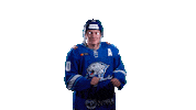 barys_official kazakhstan khl хоккей казахстан Sticker