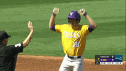 College Sports Sport GIF by LSU Tigers