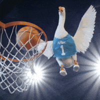 March Madness Basketball GIF by Aflac Duck
