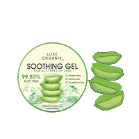 Holy Grail Skincare Sticker by Luxe Organix PH