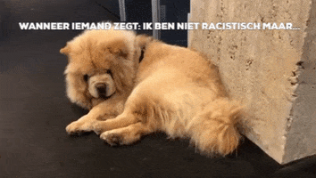 jongcdenv sammy jong cdv mahdi GIF