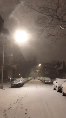 Queens Neighborhood Covered in Snow as Powerful Storm Hits Northeast