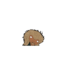 Icycle Sports Whitehorse Sticker by IcycleSportsYukon