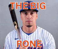 New York Mets GIF