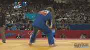 judo love GIF
