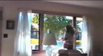 windows cleaning GIF