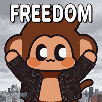 Happy Celebration GIF by Chimpers
