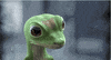 car insurance gecko GIF by ADWEEK