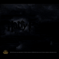 GIF by CineConcerts