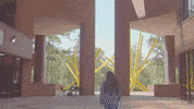 French Fries College GIF by University of Florida