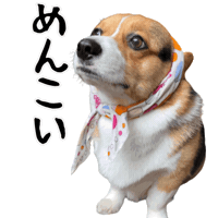 Corgi Milo Sticker