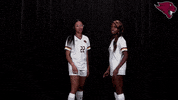 College Sports Sport GIF by CUCougars