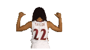 ElonPhoenixAthletics elon phoenix elonphoenix elon basketball Sticker