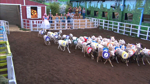 Bb21 Comp GIF by Big Brother