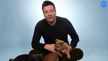 I Really Don't Quite Understand That Show