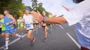 GIF by Fundacja Rak'n'Roll