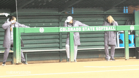 csurams giphyupload softball rams csu GIF