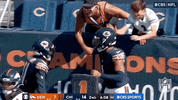 National Football League GIF by NFL