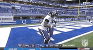 Regular Season Football GIF by NFL