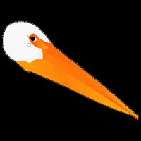 intered_ongd fakenews no lo niegues intered noloniegues GIF