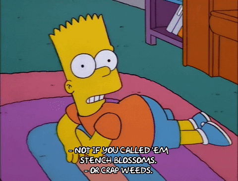 bart simpson GIF