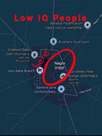 Low Iq People GIF