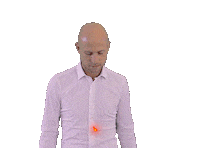 Jdt Sticker by Johor Southern Tigers