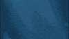 Monterey Bay Aquarium Sharks GIF