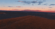 new mexico albuquerque GIF