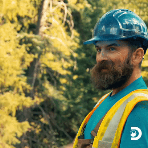 Gold Rush Muscle GIF by Discovery