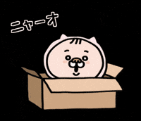 In A Box Cat GIF