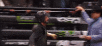Pbr GIF