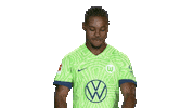 Hurry Up Football Sticker by VfL Wolfsburg