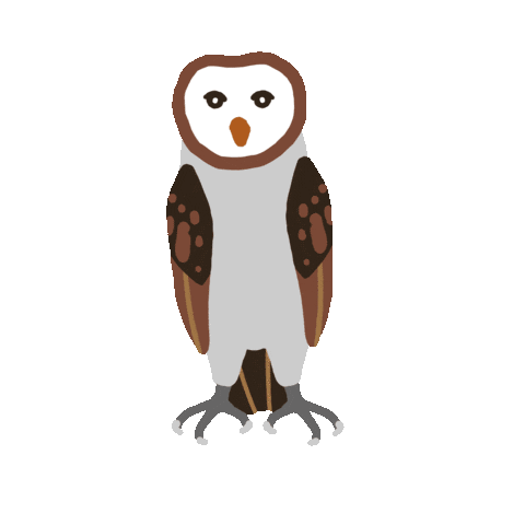 Bird Owl Sticker by VJ Suave