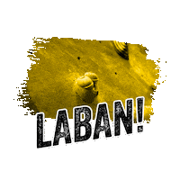 PowerUpClimbingGyms fall check falling climbing Sticker