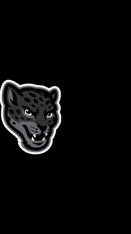 TAMUSA giphygifmaker commencement tamusa jaguarpride GIF