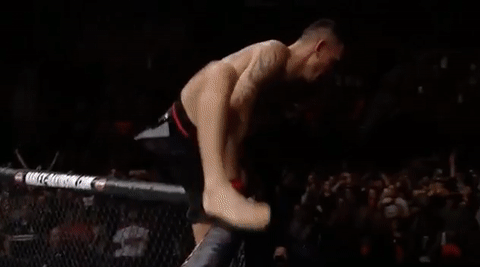 mma ufc218 GIF by UFC