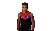 Melbourne Demons No Sticker by Melbournefc