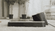 GIF by CreatorFocus.com