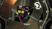 gravity reason GIF