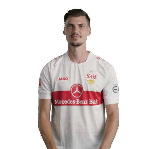 No Way Facepalm Sticker by VfB Stuttgart