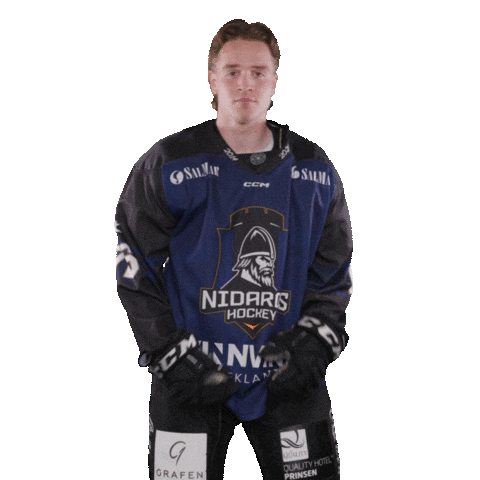 Trondheim Sticker by Nidaros Hockey