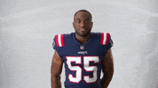 Football Sport GIF by New England Patriots